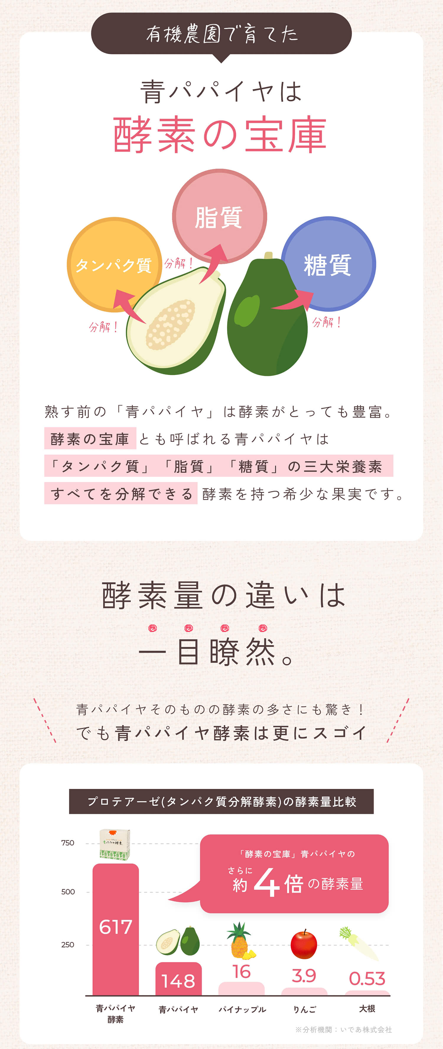 【公式】青パパイヤ酵素 パパイヤセット (顆粒 30包×2箱 / シートマスク / 青パパイヤ酵素入りバー) バイオノーマライザー 非加熱 酵素 粉末 インナーケア トータルケアセット 男女 女性 男性 プレゼント ギフト ご褒美 新生活 30代 40代 50代 60代