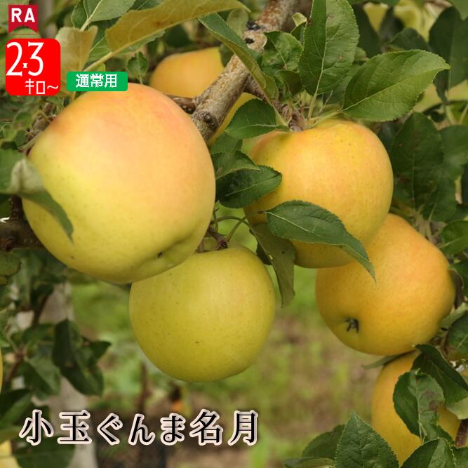 楽天市場】ぐんま名月2.5kg(大玉7〜8玉)箱【りんご ご贈答に最適】旬の