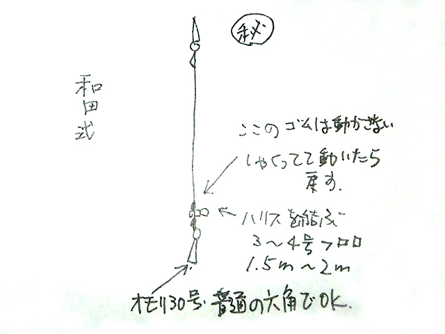 楽天市場 あす楽対応 アシスト工房 和田式船アオリ仕掛 エギング用品 ネコポスだと送料2円 1万円以上送料無料 北 東北 沖 除く アオリイカ釣具 あおりねっとshop