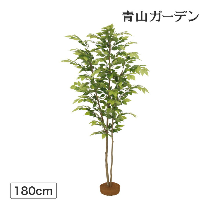 人工観葉植物 造花 業務用 施設 オフィス 店舗 装飾 フェイク グリーン リアル 坪庭 飾り タカショー / ケヤキ 鉢無 1.8m /中型｜青山ガーデン　タカショー公式