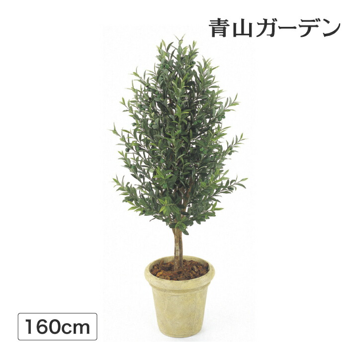 人工観葉植物 造花 業務用 施設 オフィス 店舗 装飾 フェイク グリーン リアル 飾り タカショー / オリーブツリー 1.6ｍ /大型