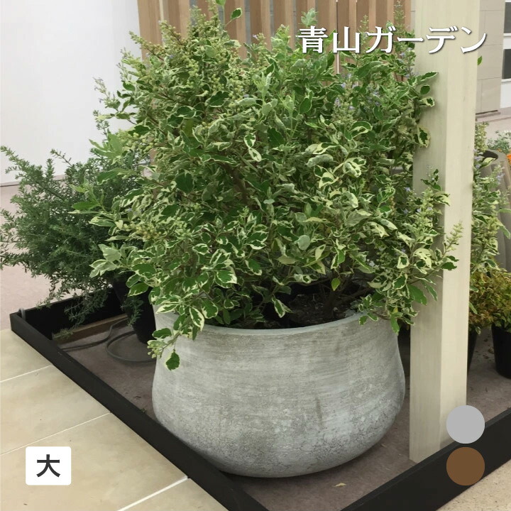 Gaveria 鉢 プランター ポット 大型 ガーデニング 店舗 施設 タカショー / アンターム 大 グレー ブラウン /小型