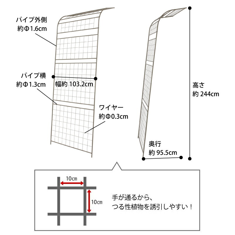 トレリス フェンス バラ クレマチス 誘引 つる性 目隠し 目かくし 壁掛け タカショー Egラティス ウォールアーチ B Napierprison Com