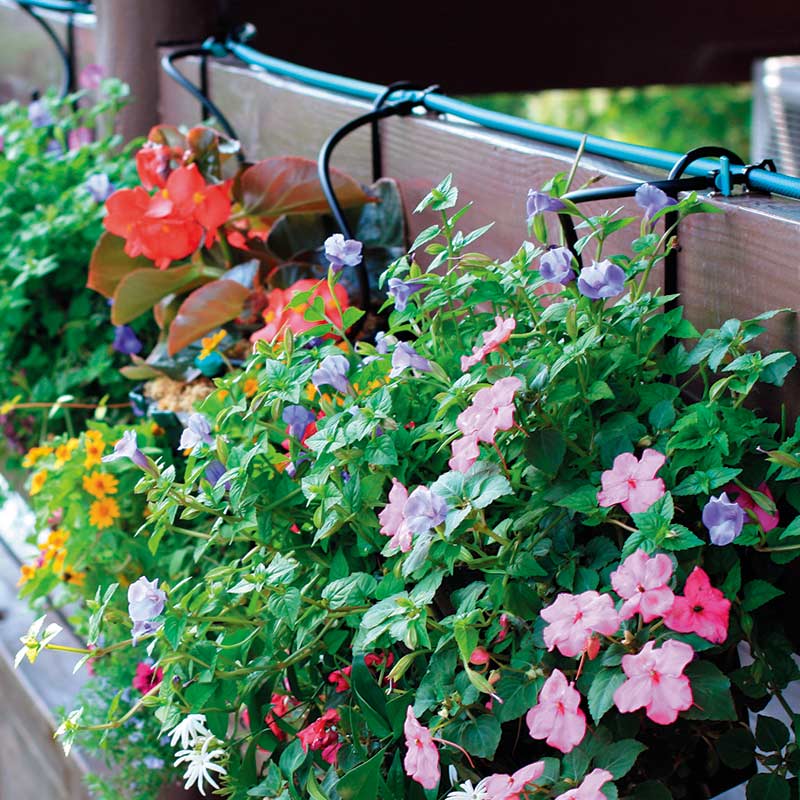 現品 水やり 自動 水遣り 散水 お庭 家庭菜園 ガーデン 業務用 タカショー 庭玄 にわくろ ウォーター A Fucoa Cl