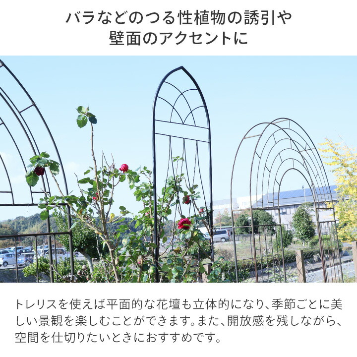 もあり トレリス フェンス バラ クレマチス 誘引 つる性 目隠し 目かくし おしゃれ タカショー デザイントレリス2100 4枚 /C  青山ガーデン PayPayモール店 通販 PayPayモール ⋗いでいたの