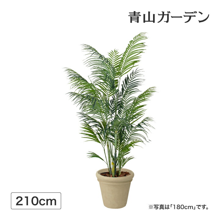人工観葉草木 造花 御勤め用 併設 事務室 バス発着場 かざり付ける まがい物 緑であること 写実的 飾りつけ 隼演芸会 / アレカヤシ 2.1m /中型
