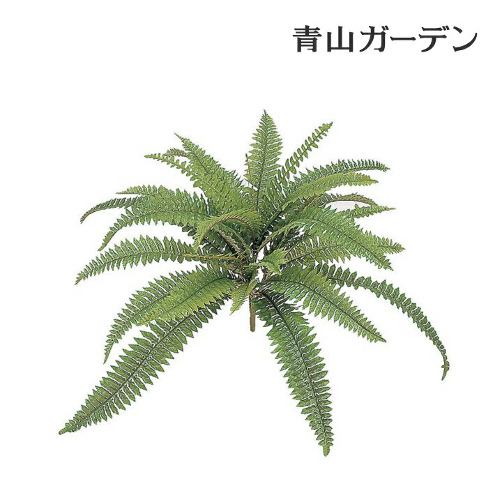 即納！最大半額！】 青山ガーデン 店人工観葉植物 造花 業務用 施設