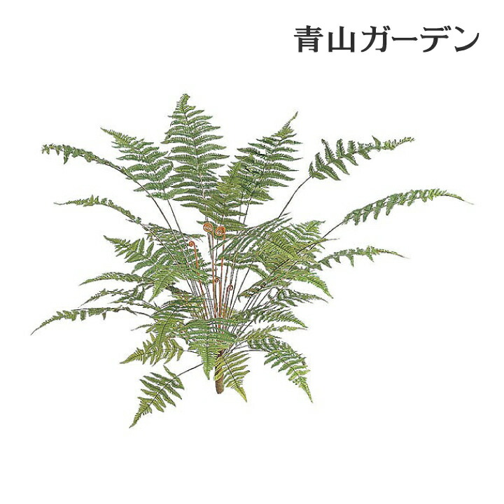 1464円 おすすめ特集 人工観葉植物 下草 坪庭 造花 業務用 施設 オフィス 店舗