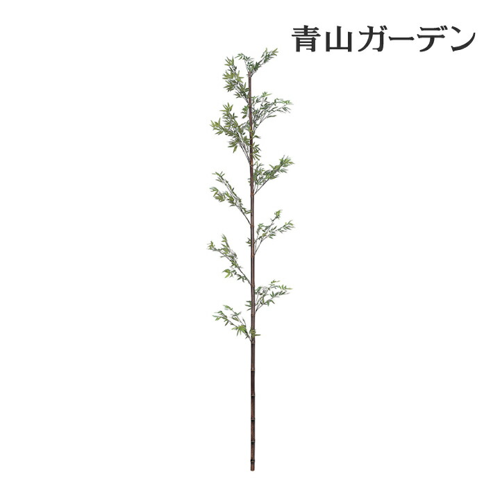 笹 七夕 飾り 竹 人工観葉植物 業務用 施設 オフィス 店舗 装飾 フェイク グリーン リアル タカショー 黒竹1本物 3m E Painfreepainrelief Com