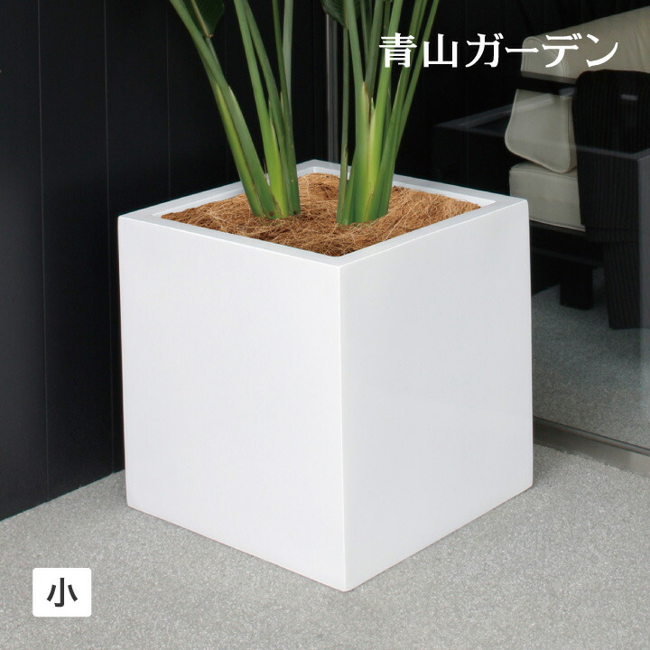 Gaveria 鉢 プランター ポット ガーデニング バス発着場 設立 家庭菜園 寄せ植え 鷹見せ物 / 正六面体ポット エカール 小 白いこと /小型