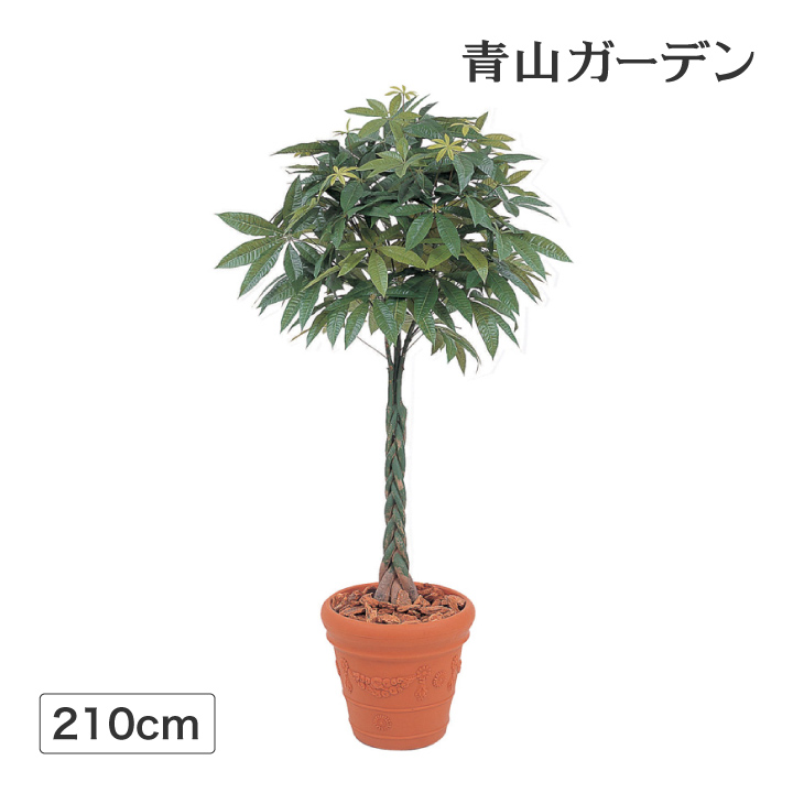 LINE友達登録1 OFFクーポン】 人工観葉植物 造花 業務用 施設 オフィス