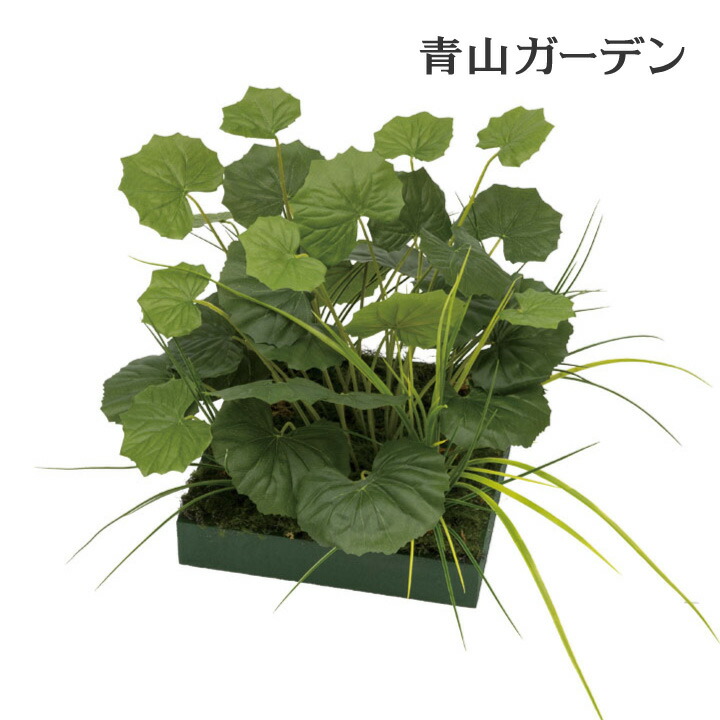 人工観葉植物 壁面緑化 造花 作業勘定 創立 オフィス バス発着場 ディザイン 偽造品 パッティンググリーン ナチュラル 隼発表 山里設定 ツワブキ A Odeftg Com