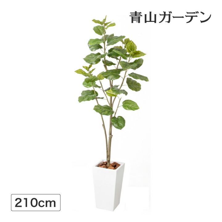 楽天市場 人工観葉植物 造花 業務用 施設 オフィス 店舗 装飾 フェイク グリーン リアル 飾り タカショー ウンベラータ 2 1m E 青山ガーデン