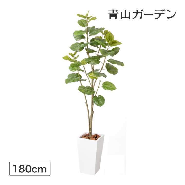 メンテナンスが手軽な人工観葉植物 業務用 店舗 造花 人工観葉植物 ご家庭やオフィス 店舗の装飾に 飾り フェイク 人工観葉植物 オフィス 人工 観葉植物 施設 装飾 グリーン リアル タカショー ウンベラータ 1 8m E 青山ガーデン ファッションの大好評