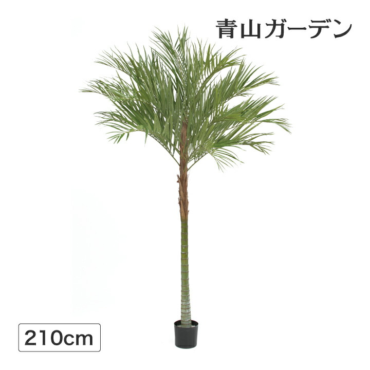 店舗 アレカパーム 人工観葉植物 室内で 南国気分を年中楽しめる憩いの場をつくります フェイク オフィス 花 観葉植物 造花 2 1m 業務用 グリーン 飾り リアル アレカパーム 施設 装飾 タカショー 1本立 2 1m E 青山ガーデン