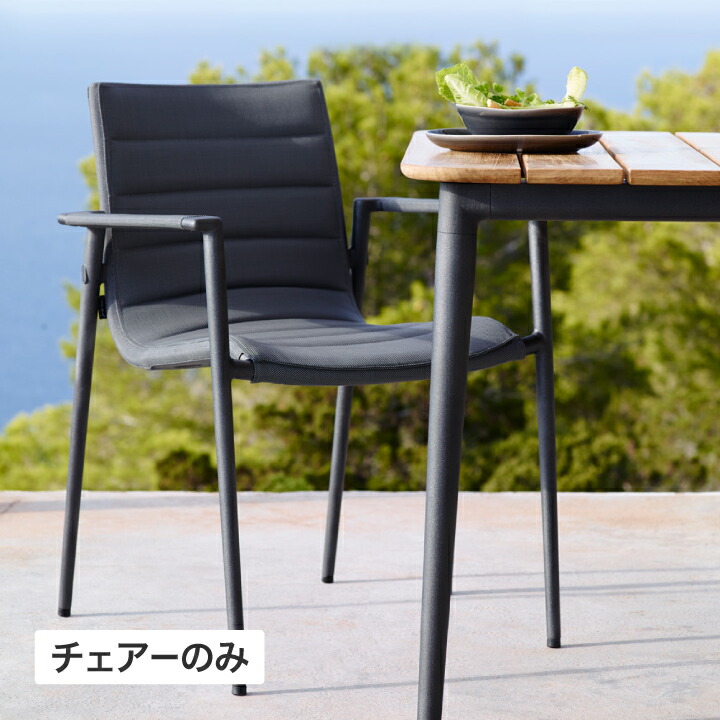 イス 女性議長 腰掛け 室外 調度品 調度品 ラタン 御前上等感 今めかしい 庭園 / 中核グループ ひじ掛け椅子 薄墨色 /中型