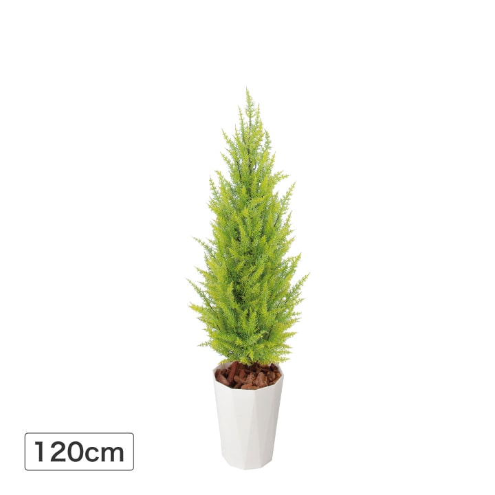 光触媒　人工観葉植物　フェイクグリーン　ゴールドクレスト1.35 光触媒 光の楽園 ゴールドクレスト1.35(ポリ製)【インテリア フェイク