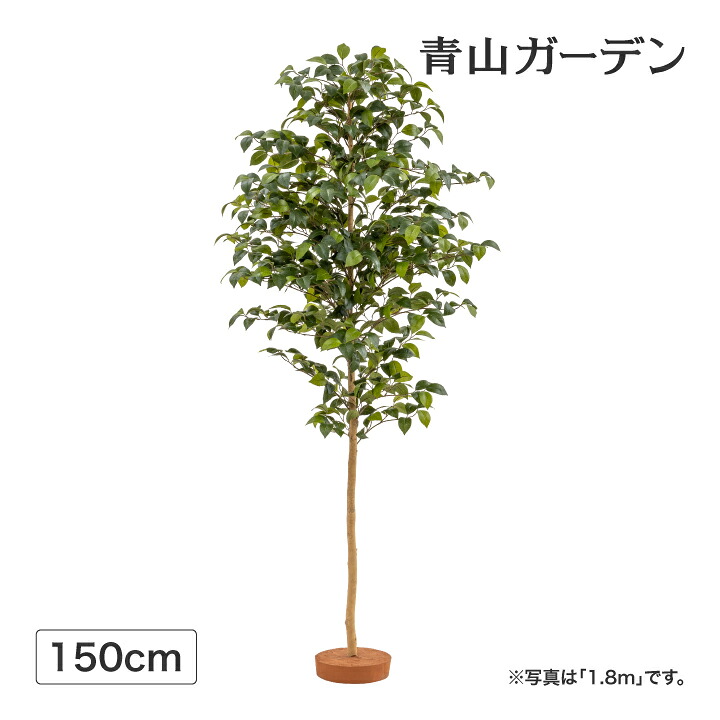 人工観葉植物 造花 和風 椿 つばき 業務用 施設 オフィス 店舗 装飾 フェイク グリーン リアル 飾り タカショー / ツバキ 鉢無 1.5m /中型|青山ガーデン タカショー公式