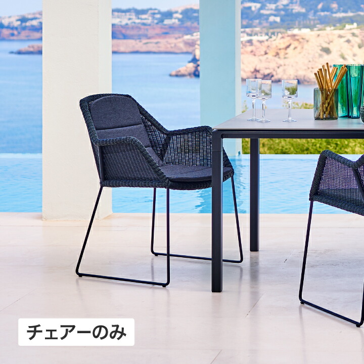 イス 女性議長 居敷き 露天 調度品 調度品 ラタン 御膳上等感 今めかしい 園地 鷹見せ物 / ブリーズ ひじ掛けいす 黒いこと /中型