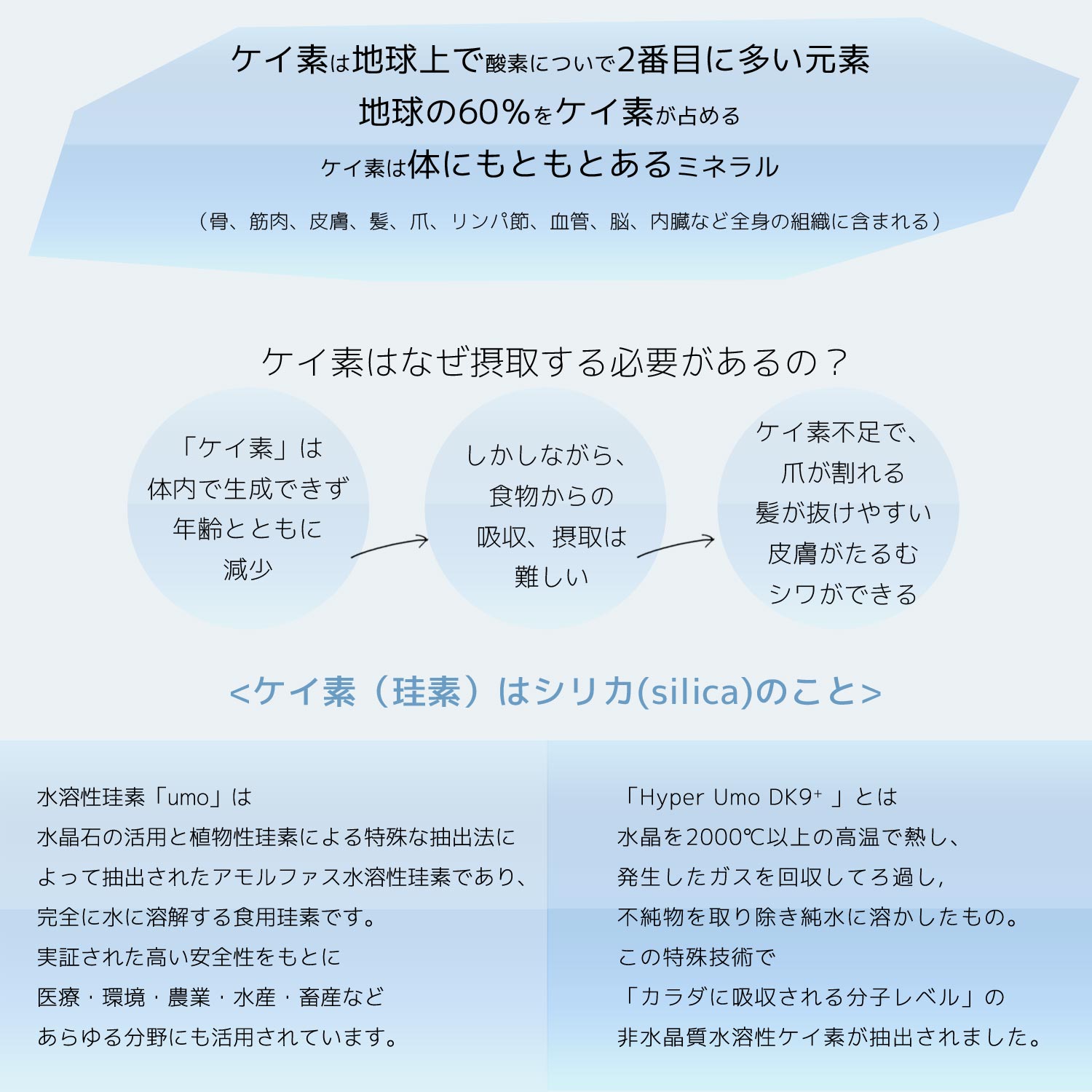 500ml 2本入 水溶性ケイ素濃縮溶液ハイパーumo 500ml 硅素 Si シリカ しりか Hyper Umo Dk9 日本硅素医科学学会 推奨品 うも ウモ 保存料無添加 プレゼント おまけ あり 抗酸化力 油分解力 コラーゲン 骨 髪 肌 血管 美爪 ペット ミネラル サプリ 健康食品