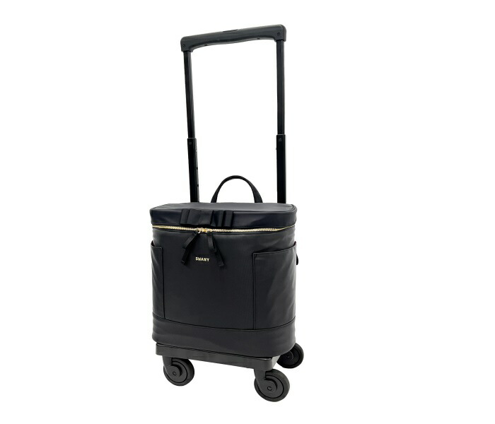 キャリーバッグ スワニー D-577 Amazon.co.jp: SWANY スワニー キャリーバッグ D-630 ポルド 座
