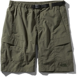 men's the north face cargo shorts