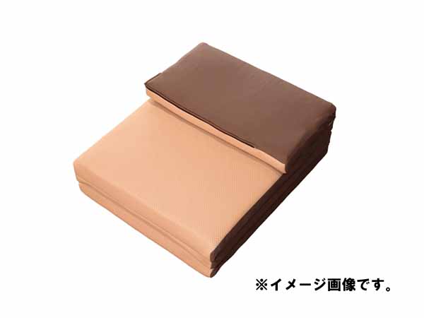 JETイノウエ カミリオンスリーパー プレミアム アルファ マットレス 594174|MAP-S