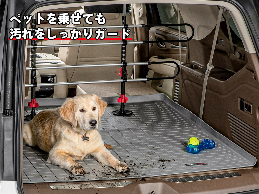 Lexus(レクサス) RC（2015〜2021年）カーゴライナー ラゲッジマット