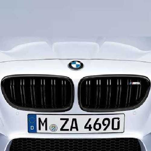 BMW純正 M Performance ブラック・キドニー・グリル（F10 M5）｜APdirect
