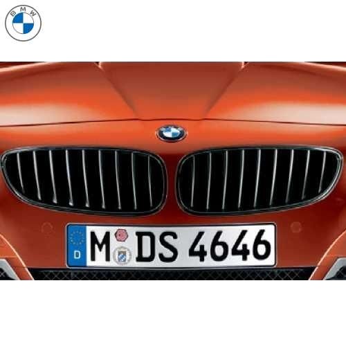 BMW純正 ブラック・フロント・キドニー・グリル (E89)