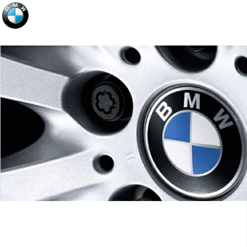 BMW 純正 36132453961.jpg