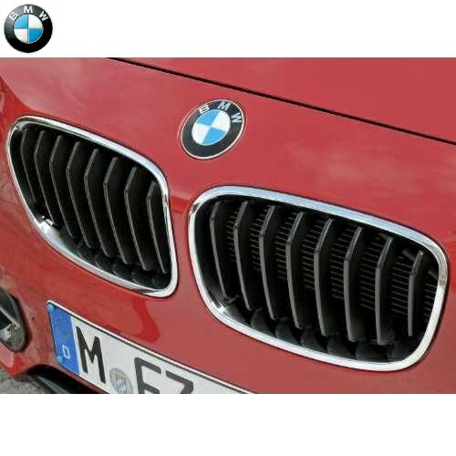 BMW純正 キドニー・グリル(F20)((~2015/02 生産車両用)(Sport/M Sport)
