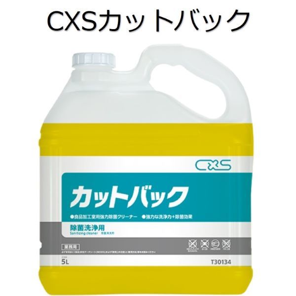シーバイエス（CXS)御役目用 食料雑貨類処理室用豪然たる除菌洗浄剤 撥ね除けるうしろ側 5L×3本 洗剤・柔軟剤・クリーナー-除菌剤-日用品雑貨・文房具・手芸