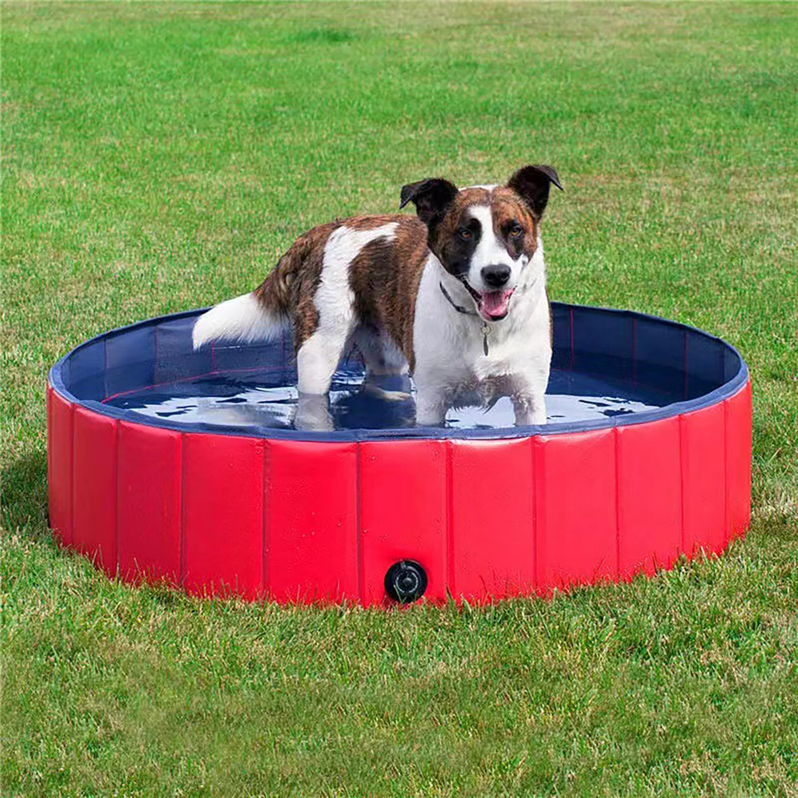 MSSHUNG 練りあわせる布ペットバスタブ 大型/小型犬 可動性折りたたみスウィミングプール 水泳ぎスウィミングプール 猫 砂スウィミングプール 洗い濯ぎ設備、赤いこと、xm