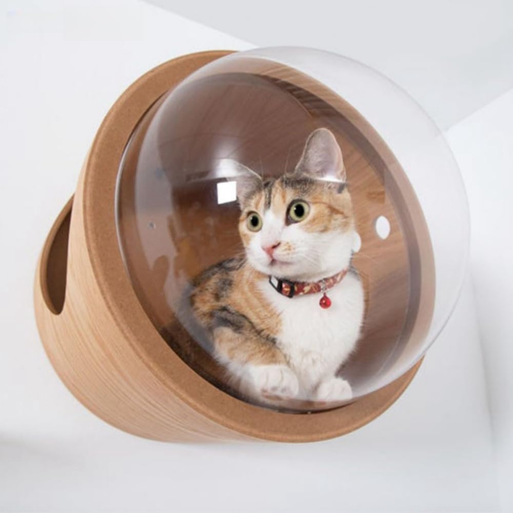 恒星船 澄み切った恒星船 猫用全ての存在宇宙カプセル 飾りつけ式 御休み領域 木製 今めかしい 通気性 無償性間隔文字 今めかしい キャットウォーク 猫高閣 猫上がり段四季通じる (木の色)