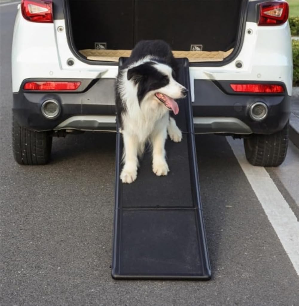 犬用足取り｜車用助けること上がり段 上滑り打ち切り付き添い人｜折りたたみ式納めるで空白文字切り詰める 雨合羽・耐摩耗｜老いらく/疵ぐちの犬に適し 思わしいで釣りあい