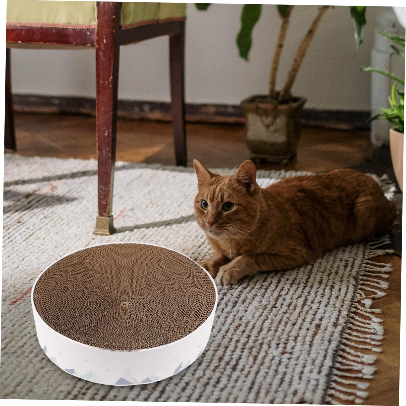 段ボールスクラッチ板 屋内用猫玩具 ランダム色 円形猫スクラッチパッド ペット娯楽 B11｜アピネス