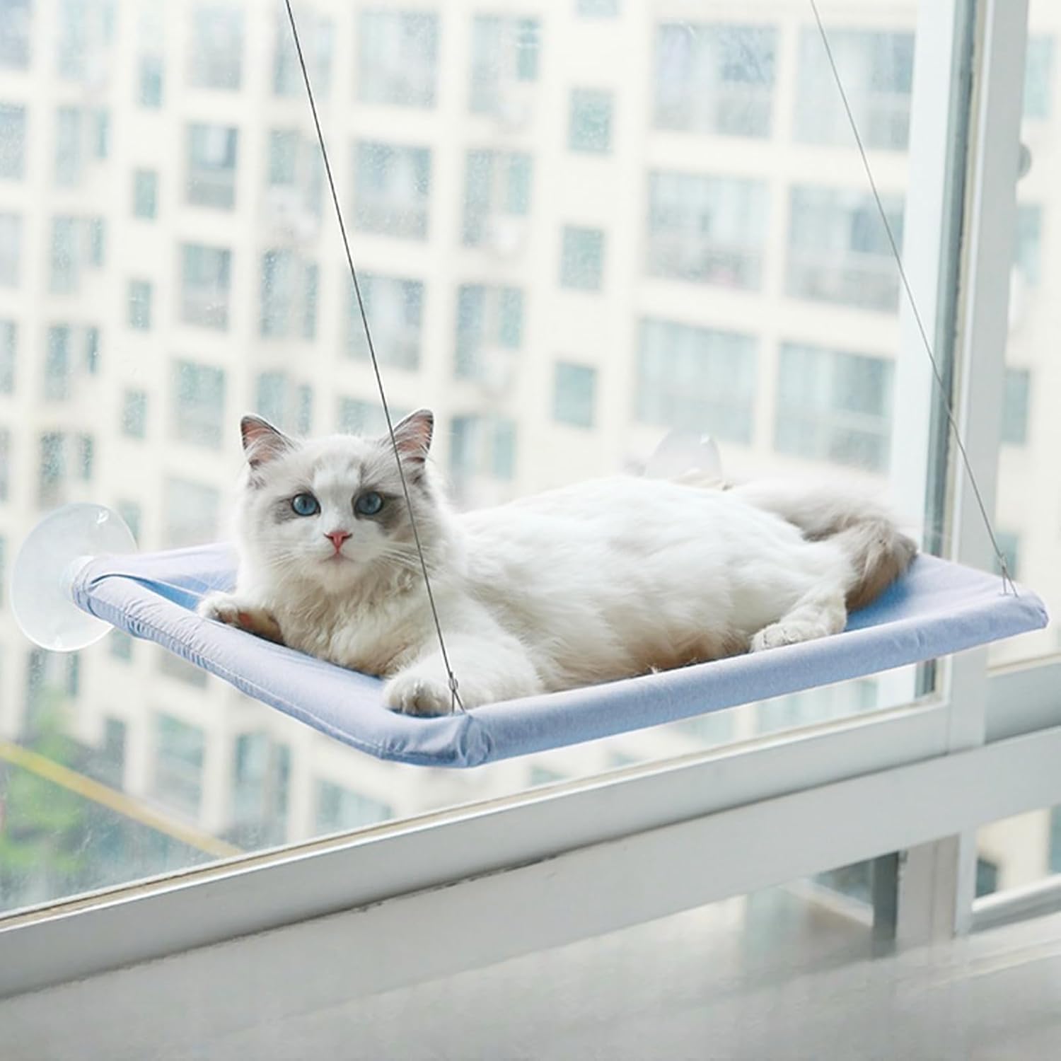 強力吸引カップ付き猫ハンモック ウィンドウ用 35kg 大型猫対応 強化ハンモック 日光浴猫ベッド B11｜アピネス