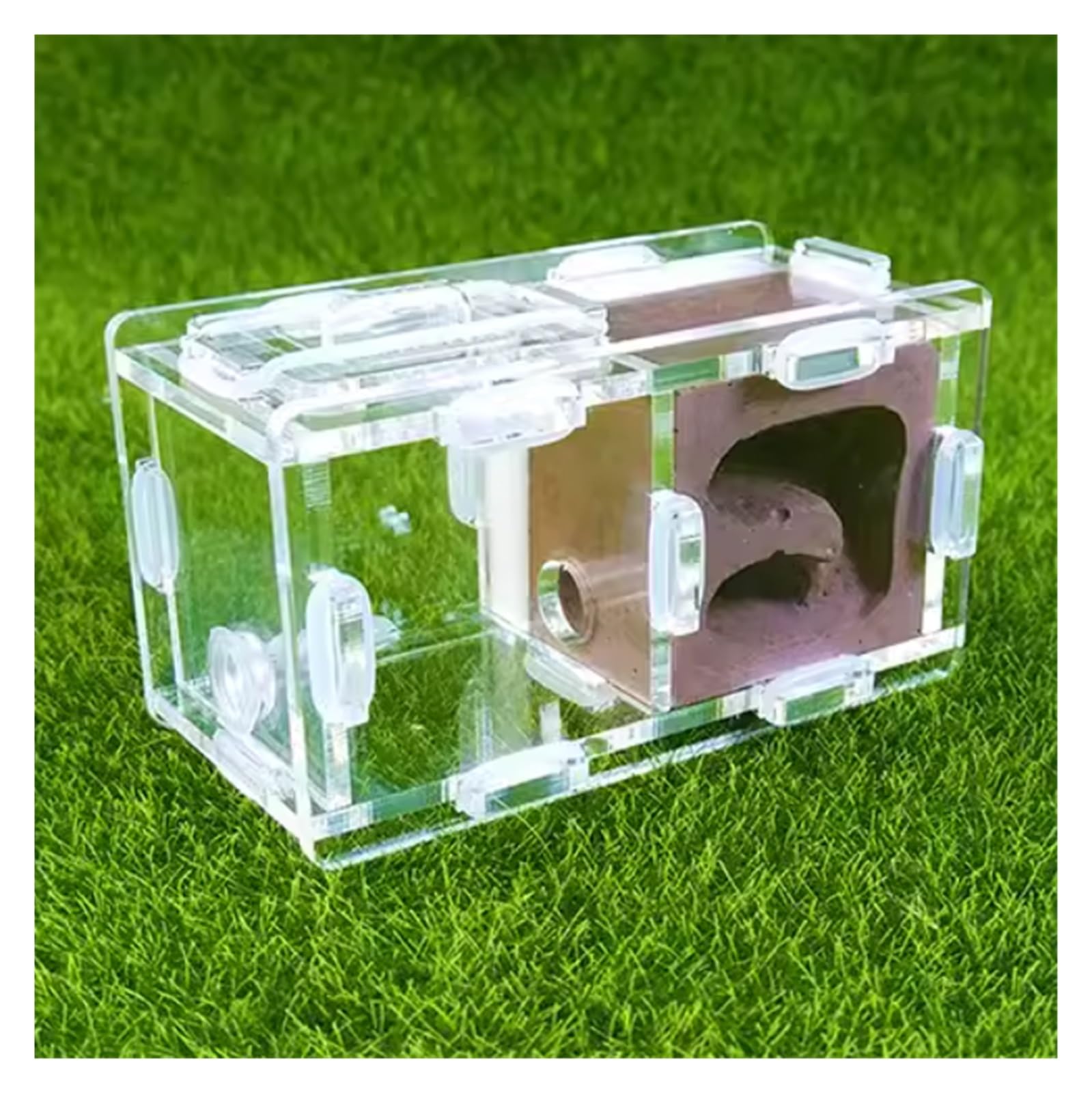 楽天市場】アリの巣 飼育観察セット 夏休み 宿題 自由研究 アリ観察