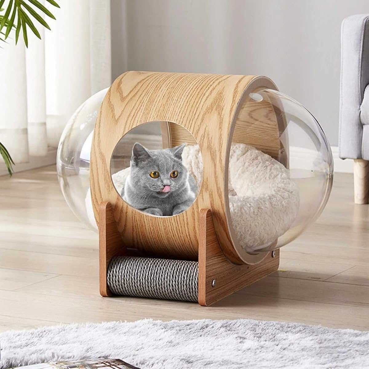 恒星船 猫棲み家 愛玩動物用臥榻 学生寄宿舎状 床置き相応う キャットハウス 調度品 キャットベッド 木製 猫棲み家 猫用 愛玩動物澄み切った 宇宙カプセル型 猫棲み家 木製 オシャレ感 四季通じる 今めかしい ぬいぐるみパッド付き添い人
