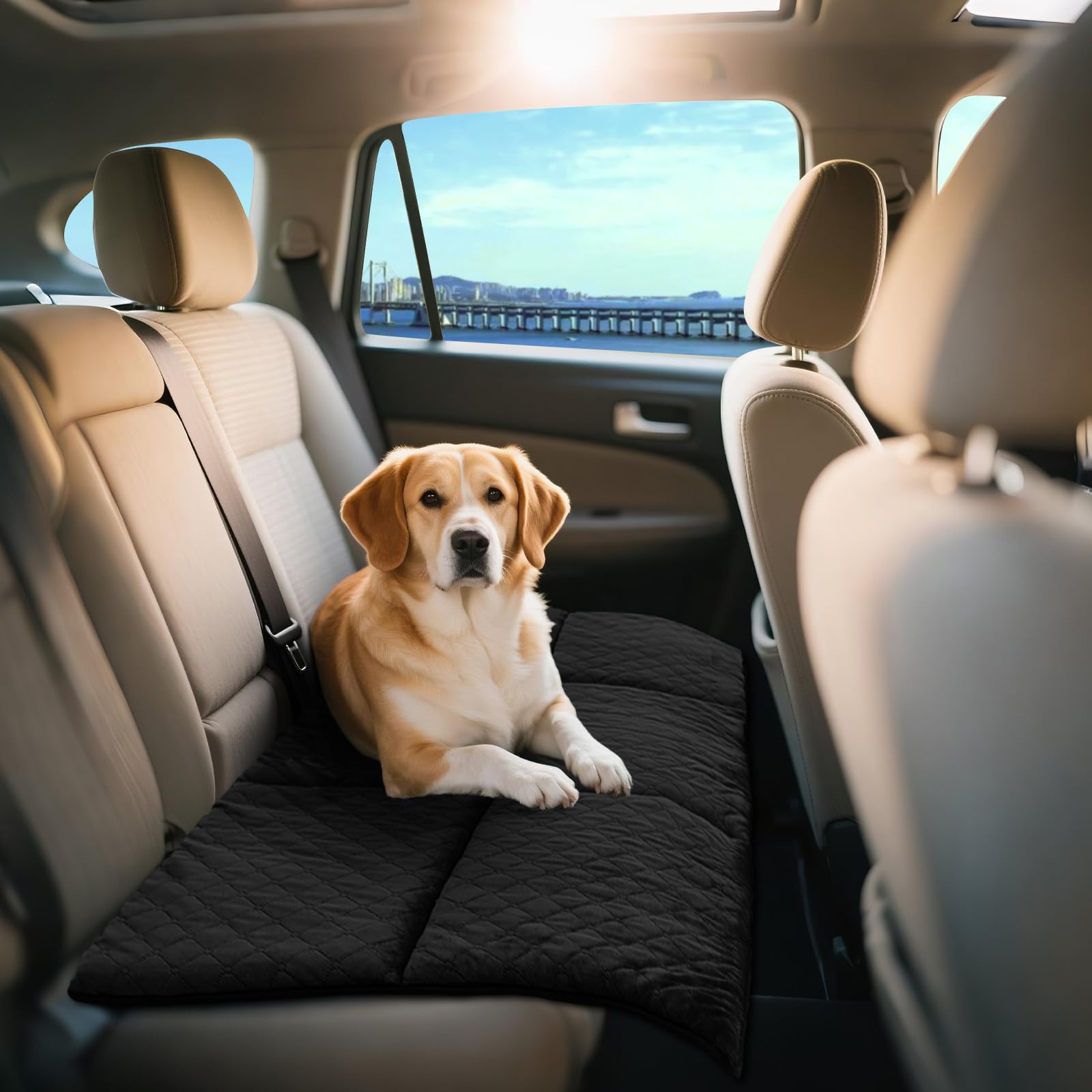 犬用カーシートマット うしろ側腰かけ用 座布団引っ敷き 上滑り打ち切り付き添い人 愛玩動物用臥榻 車内 旅する 運転腰かけ 愛玩動物寝椅子 洗い濯ぎ能力のある 黒いこと 60cm×130糎