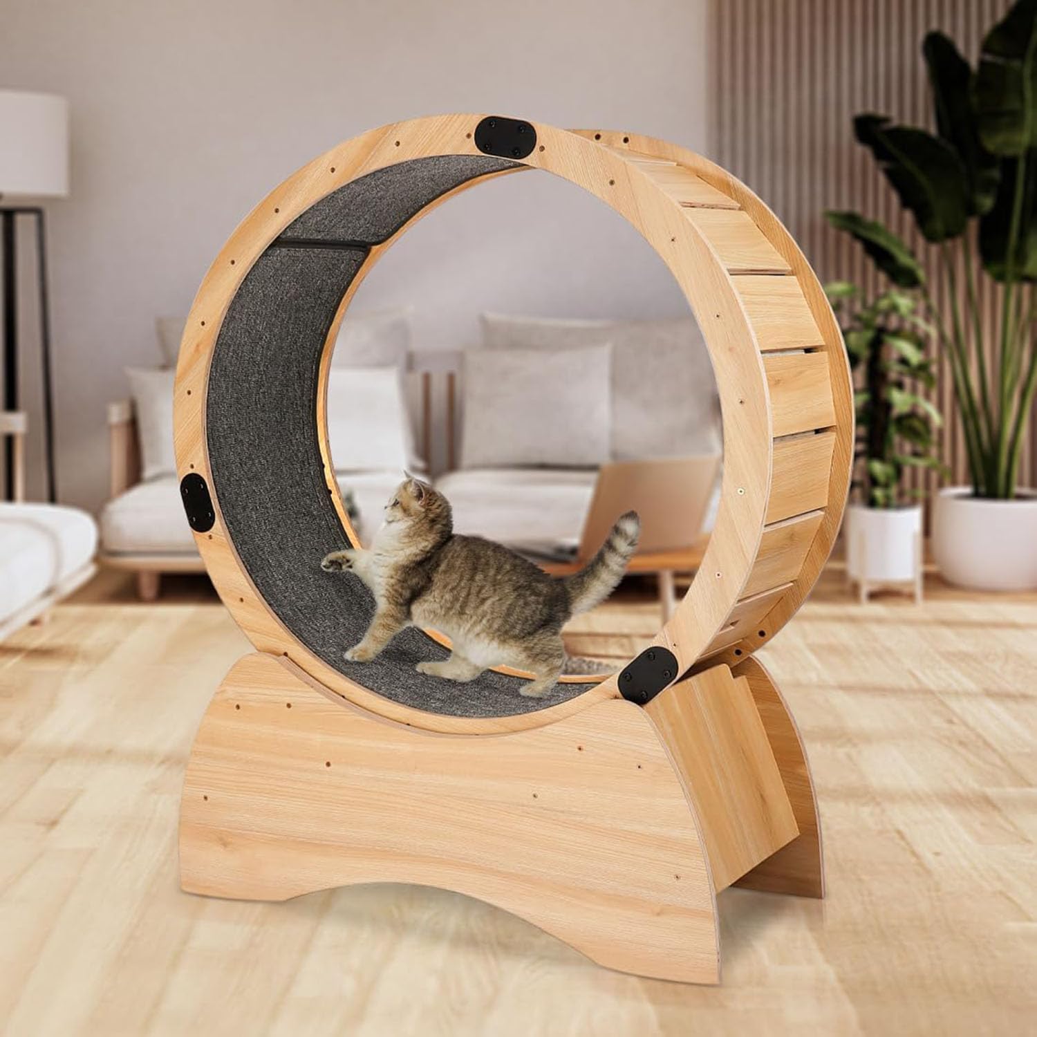 猫用回し車 木製 キャットホイール 静音心積もり 爪とぎ引っ敷き付き添い人 生まれながら木製 キャットエクササイズ 車輪 運動すること機能不全取り止める お座敷伝令 回し車 猫用 駈けっくら車輪 愛玩動物装置