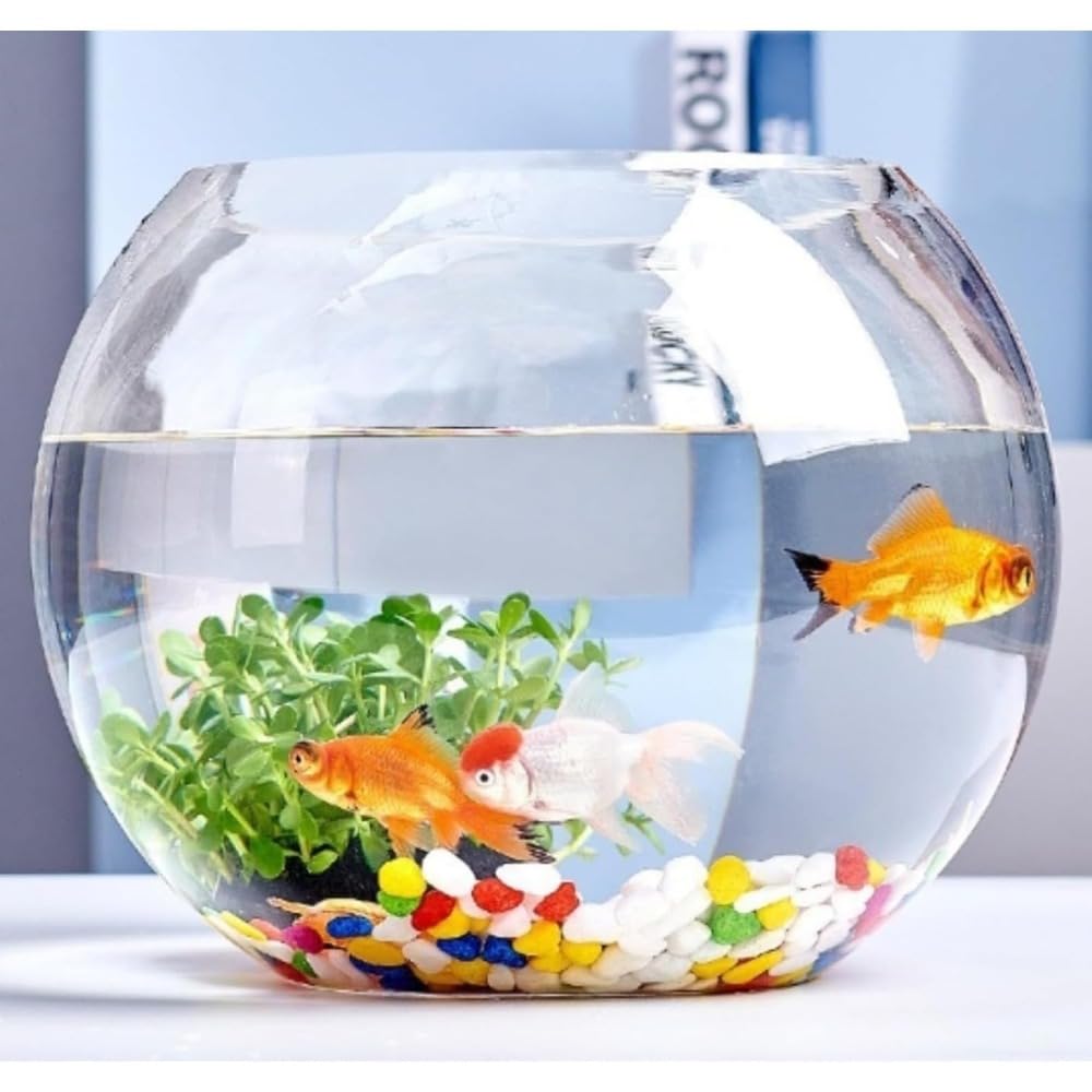 硝子海洋博物館 金魚鉢 今めかしい 丸型 室内装飾 澄み切った 熱帯魚 海洋博物館 繁殖容れもの 観葉草木 テラリウム 卓上 鉢 小型 海洋博物館 硝子鉢 雑貨 オブジェ