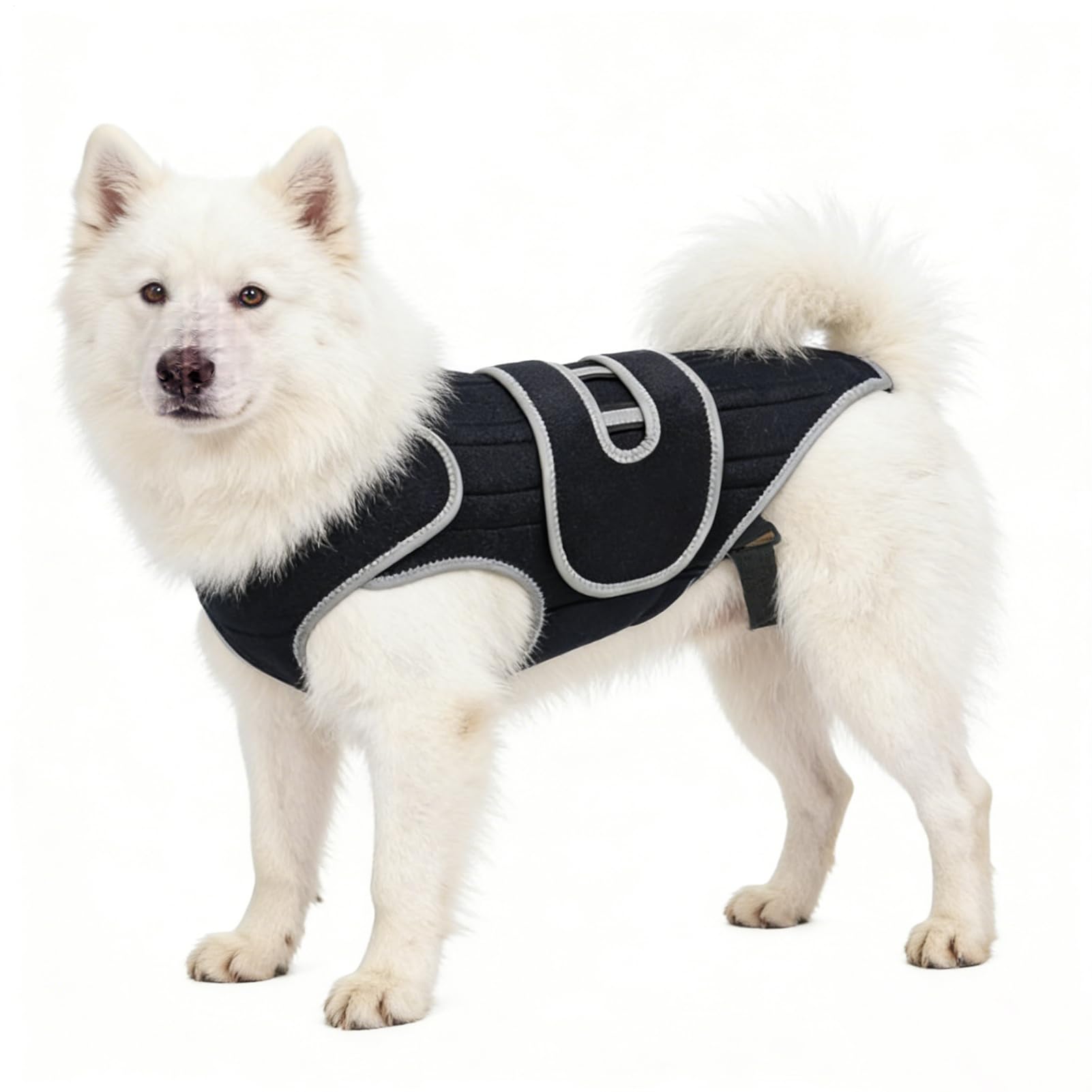 犬用 介護馬具 後ろ側受け支える より良い型 御拾い助けること馬具 上半身用 支持者 老犬 年がしら犬 ほっつき歩く お出かけ 上がり段 厄介なもの助け出す 中型犬 大型犬 愛玩動物備品