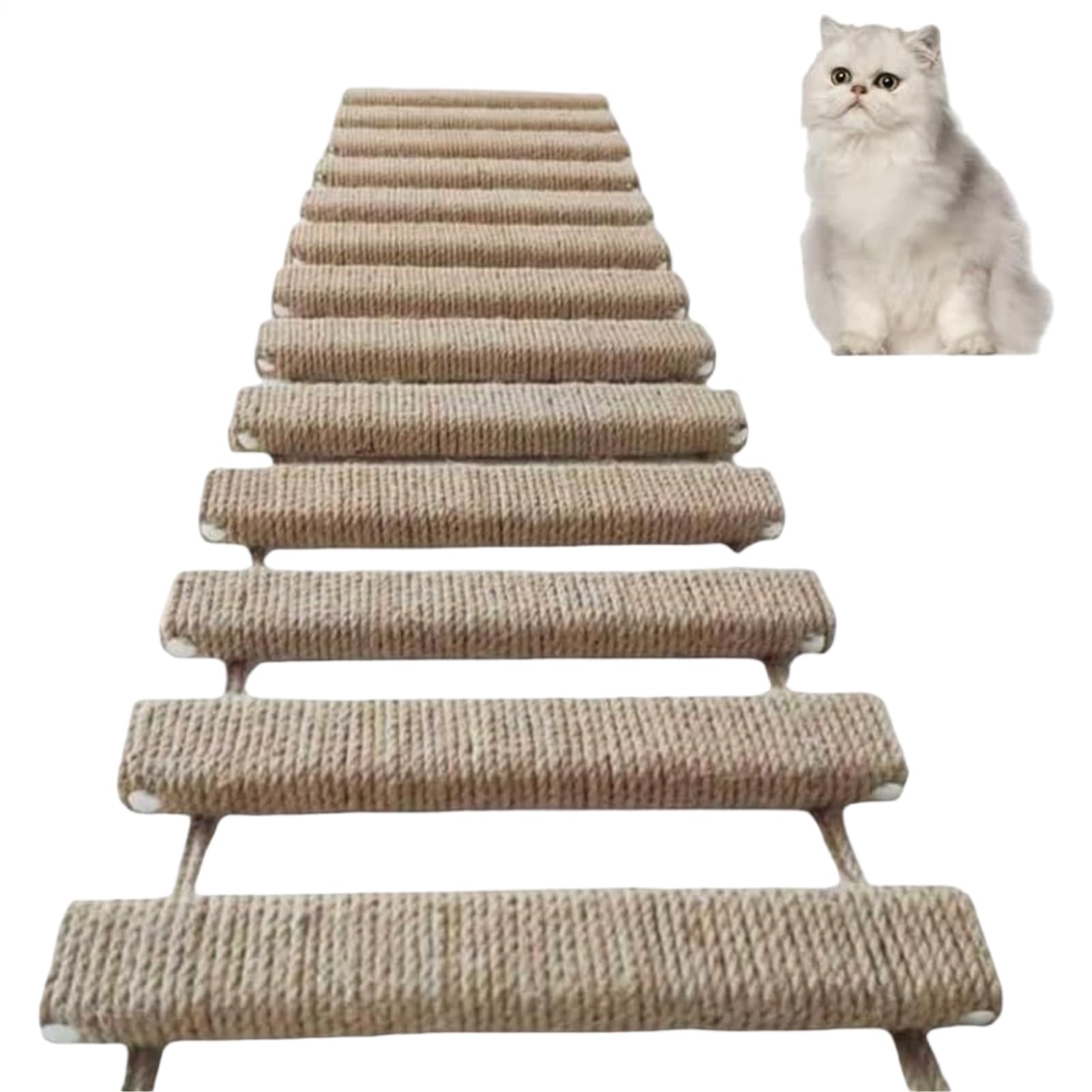 猫用 壁後ばらい足取り キャットウォーク 爪とぎ引っ敷き付き添い人 省空白文字 飾りつけ 段差切り上げる 運動すること不完全さ切り上げる 遊び道具 室内装飾 愛玩動物備品