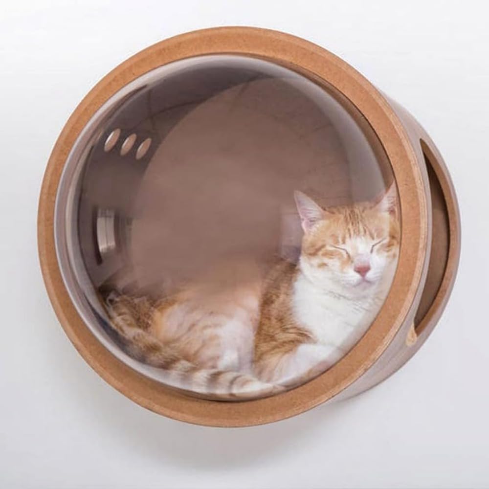 飾りつけ 猫住みか 恒星船 キャットウォーク 木製 猫用臥榻 キャットステップ キャットタワー 技術者手作り 学生寄宿舎型 壁後ばらい プレイグランド 肌理調 突っ張り ねこ 猫 臥榻 愛玩動物臥榻 キャットベッド 愛玩動物住みか 調度品 室内装飾 おしゃ