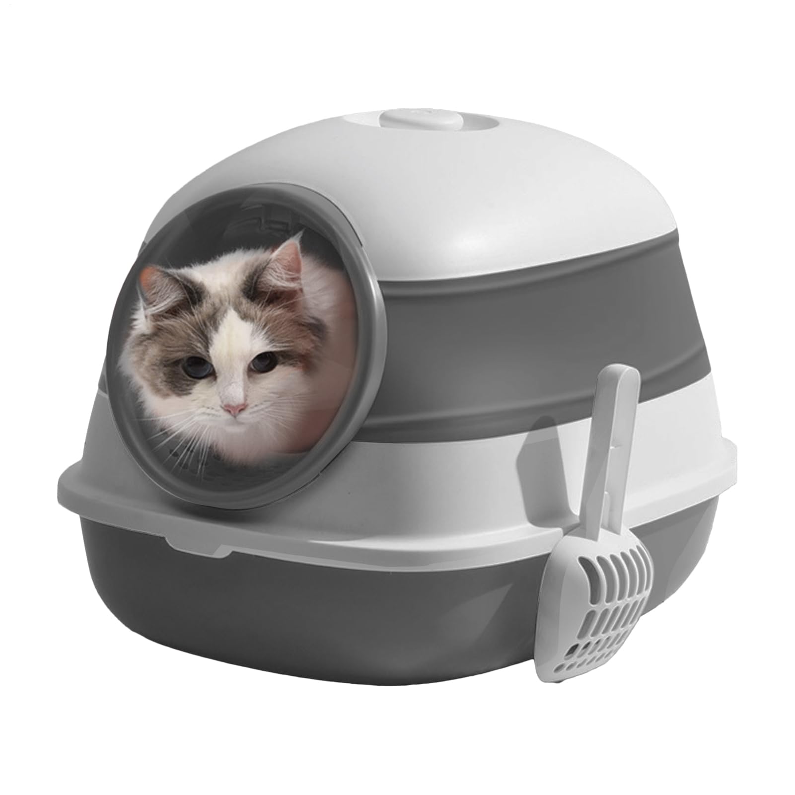 猫室内用便器 折りたたみ式 学生寄宿舎型 砂の飛び散り押しとどめる シャヴェル付き添い人 脱臭水漉し付き添い人 今めかしい パウダーコンパクト 納める 大型 猫用室内用便器 本体