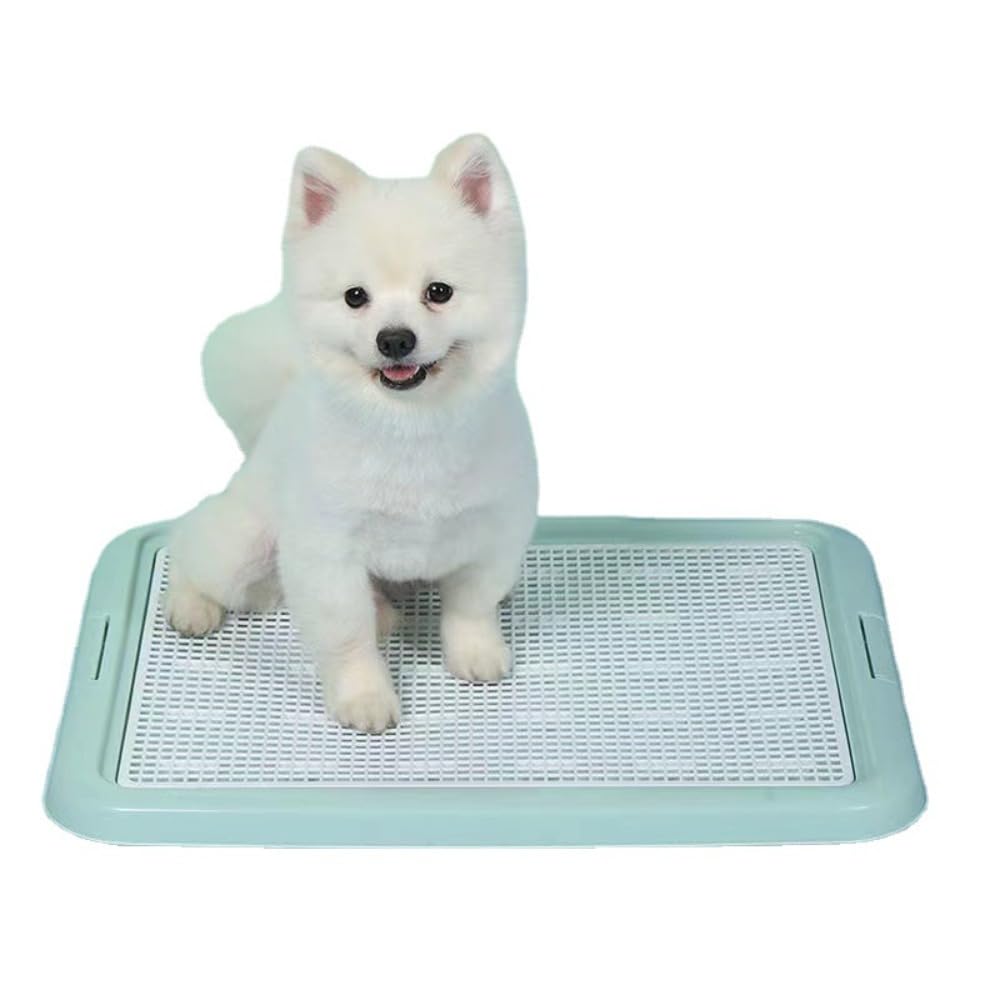 犬用室内用便器 御盆 メッシュ すのこ 洗える 愛玩動物用室内用便器 しつけ用 室内 小型犬 中型犬 もの堅い お取りつくろう飾り気の無い 犬備品