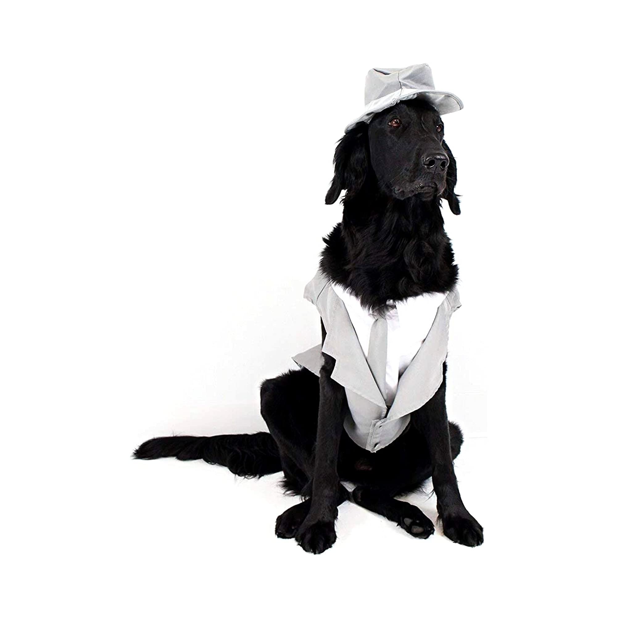 犬用 ブラックタイ 背広 御芽出度 フォーマル 薄墨色 かぶり笠 リーシュ付き添い人 3点仕掛ける 小型犬 中型犬 大型犬 愛玩動物服 不死化映画化 儀式用