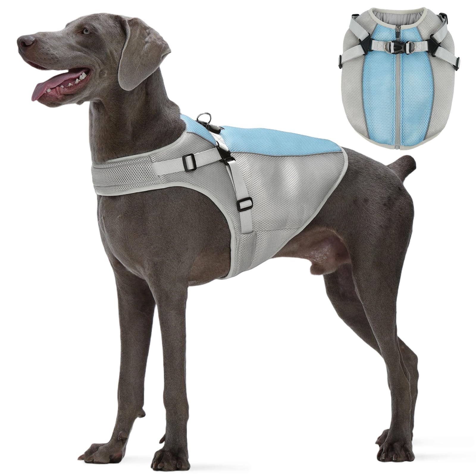 犬用 冷やりとしたより良い 冷やかすより良い 愛玩動物用 夏用 馬具一体型 メッシュ 通気性 冷感 ひんやり ほっつき歩く お出かけ 意気組み症打つ手 暑さ打つ手 中型犬 大型犬 小型犬 大きさ合わせる能力のある